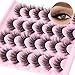 The Feline Flick: 14 Pairs Wispy Cat Eye False Lashes